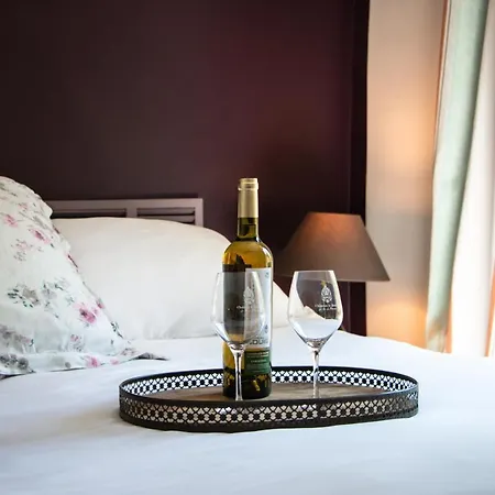 Chateau Le Bouis Bed & Breakfast *