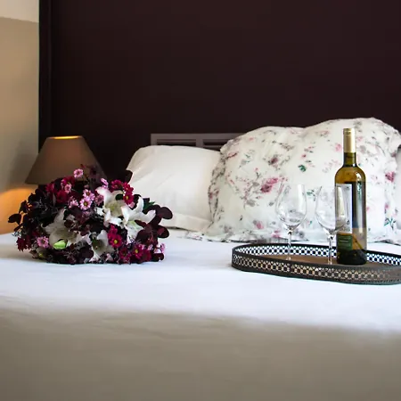 Bed & Breakfast Chateau Le Bouis