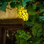 לינה וארוחת בוקר Chateau Le Bouis גרואיסאן