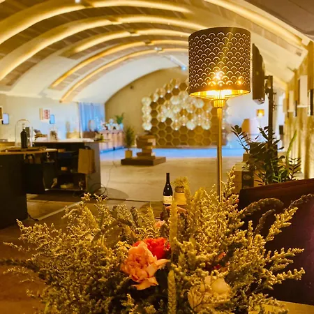 Bed and Breakfast Chateau Le Bouis & Wine