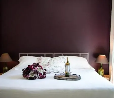 Chateau Le Bouis & Wine Bed and Breakfast
