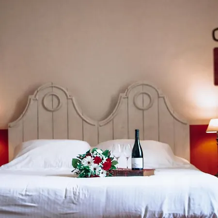 Chateau Le Bouis & Wine