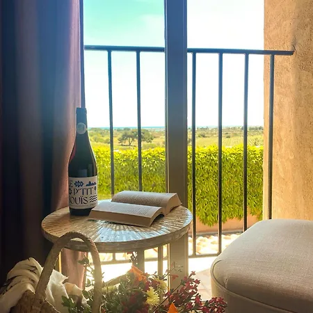 Chateau Le Bouis & Wine Bed and Breakfast Gruissan