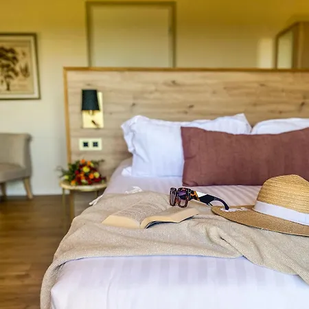 Chateau Le Bouis Bed & Breakfast *