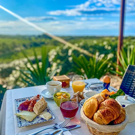 Chateau Le Bouis & Wine Bed and Breakfast Gruissan