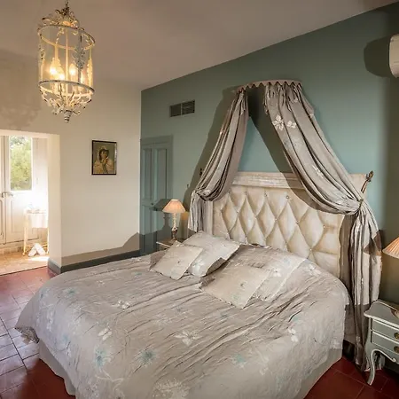Chateau Le Bouis Bed & Breakfast *