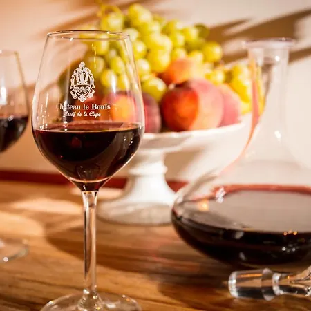 Bed and Breakfast Chateau Le Bouis & Wine 4*