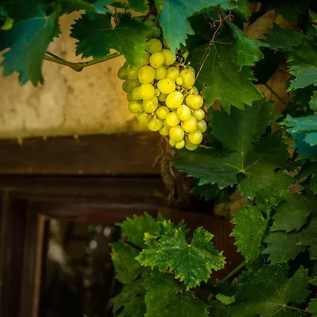 Frühstückspension Chateau Le Bouis Gruissan
