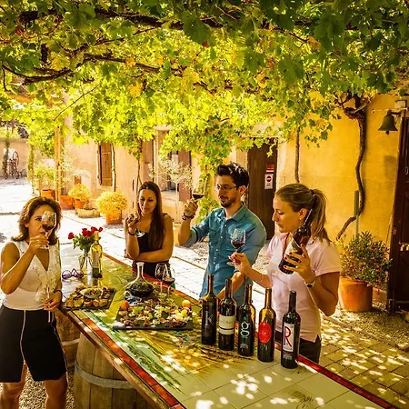 Chateau Le Bouis & Wine Bed and Breakfast Gruissan