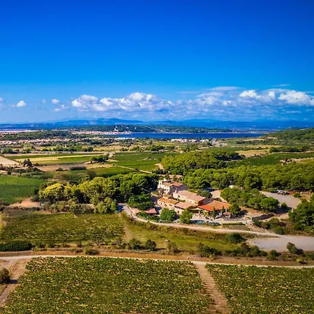 Bed and Breakfast Chateau Le Bouis & Wine 4*